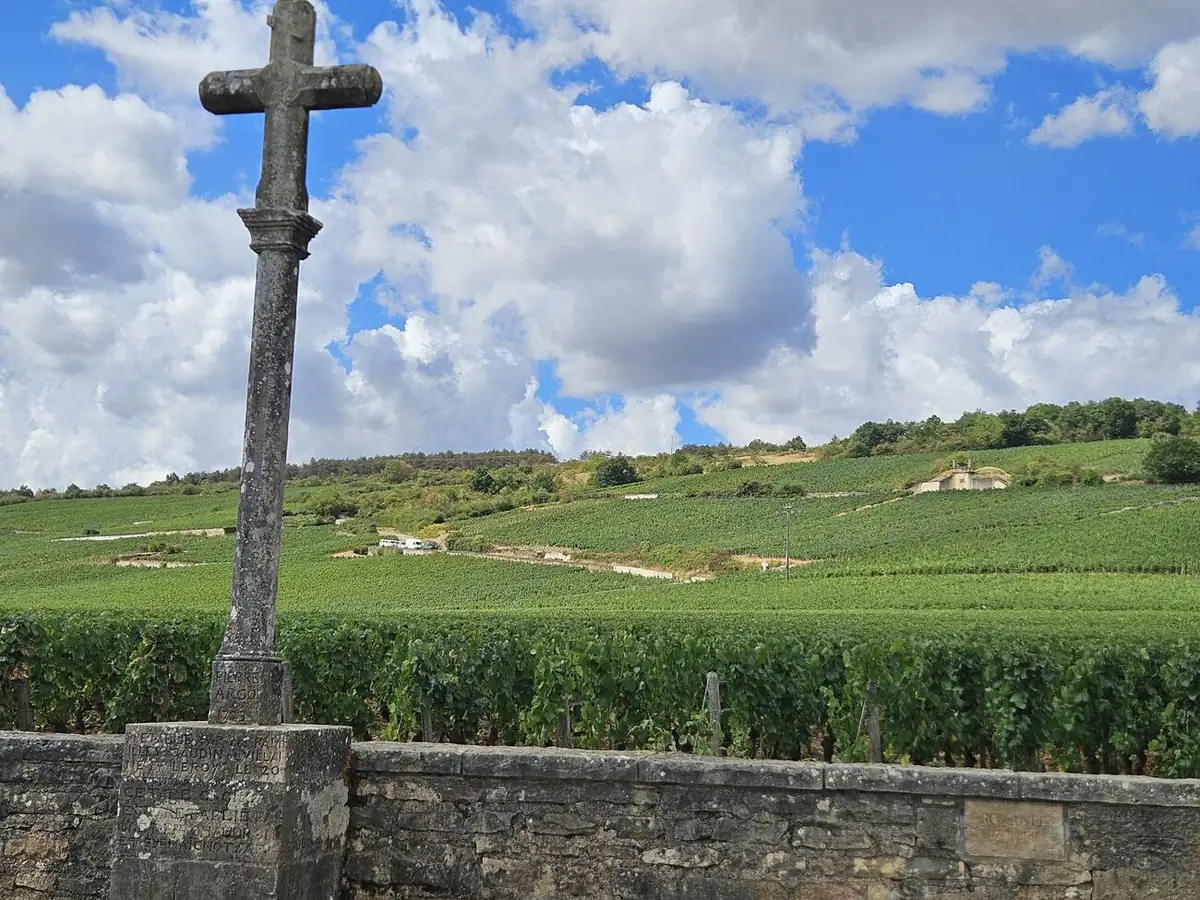 A stone cross above the vines