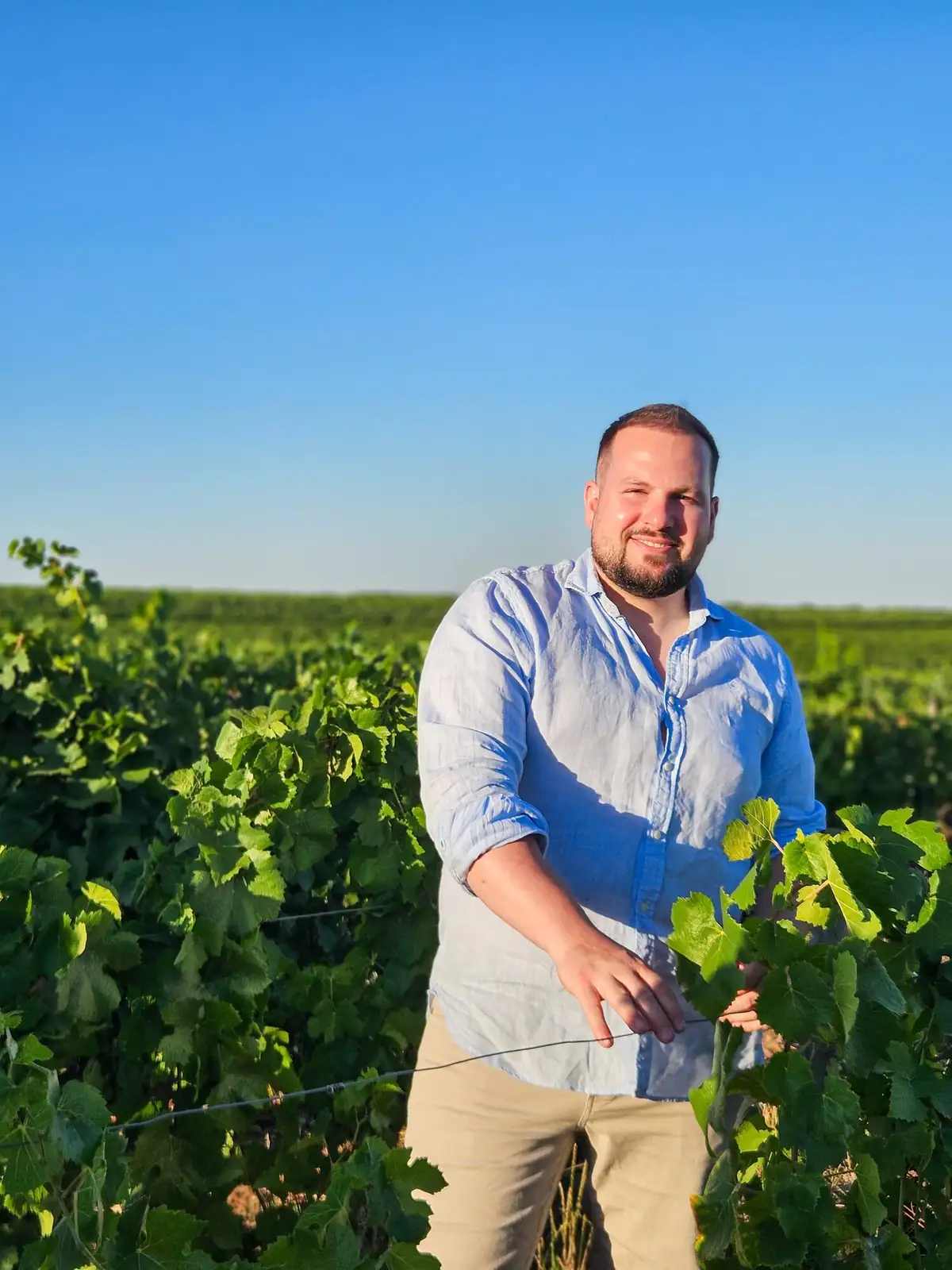Dylan in the vineyards of Morey-Saint-Denis
