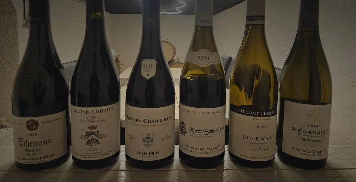Six wines lined up for the tasting